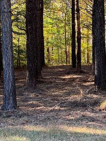 1 Acre of Residential Land for Sale in Edenton, North Carolina