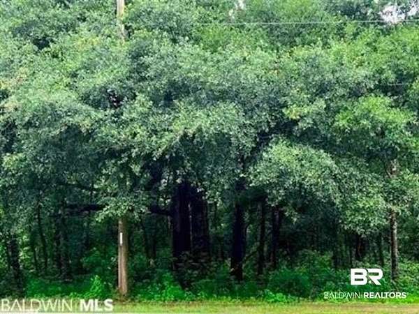 1.25 Acres of Residential Land for Sale in Fairhope, Alabama