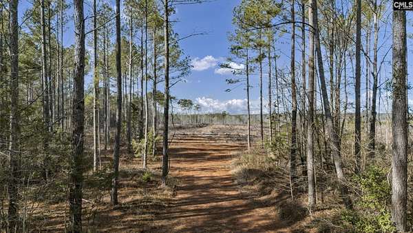 20 Acres of Agricultural Land for Sale in Saluda, South Carolina