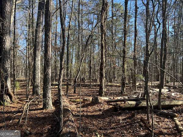 2.62 Acres of Residential Land for Sale in Rome, Georgia
