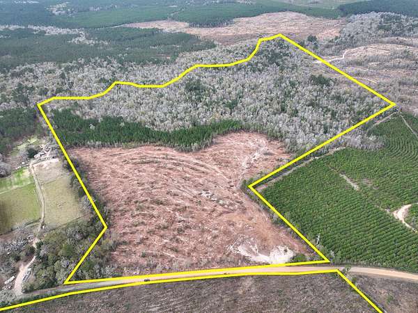 24 Acres of Recreational Land for Sale in Spurger, Texas
