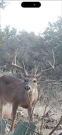 25.8 Acres of Recreational & Residential Land for Sale in Eldorado, Texas