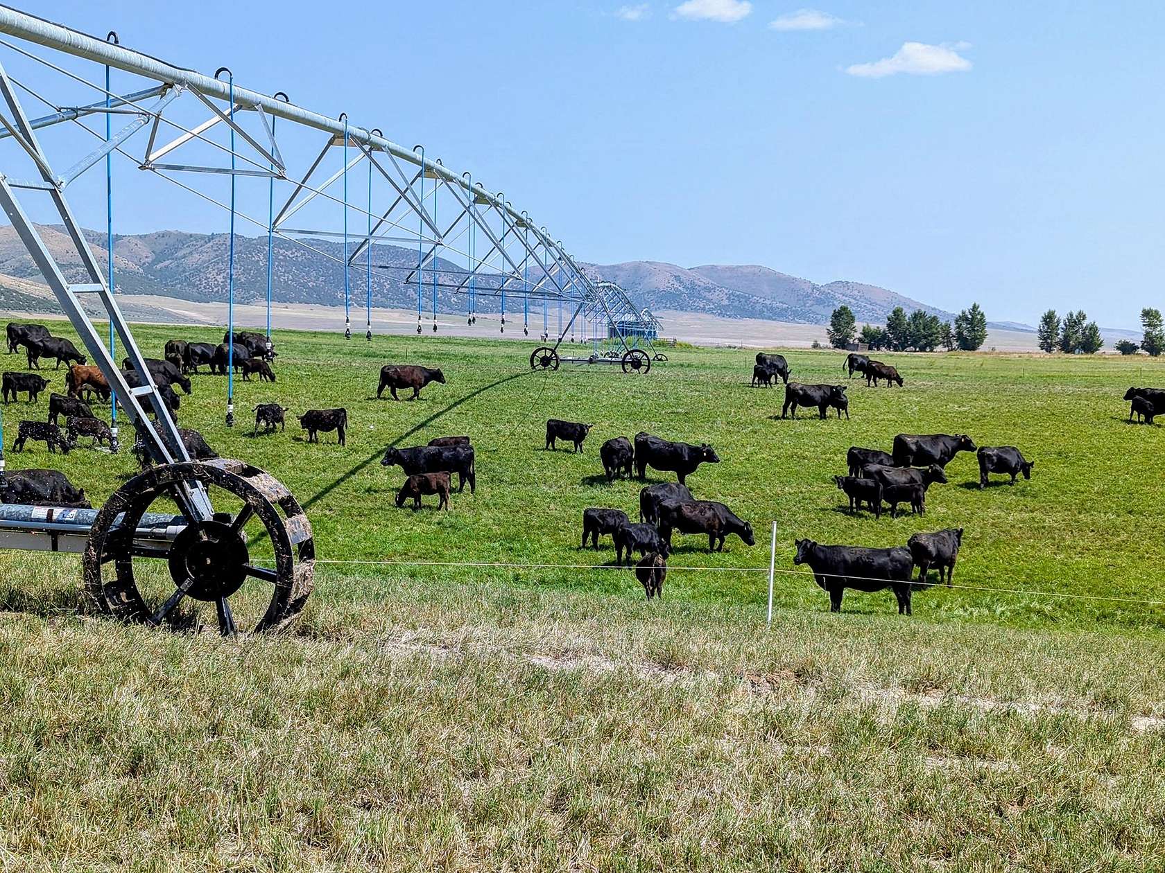 2,185 Acres of Recreational Land & Farm for Sale in Downey, Idaho
