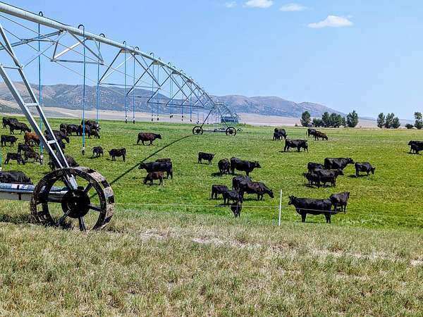 2,185 Acres of Recreational Land & Farm for Sale in Downey, Idaho