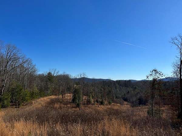 19 Acres of Agricultural Land for Sale in Murphy, North Carolina