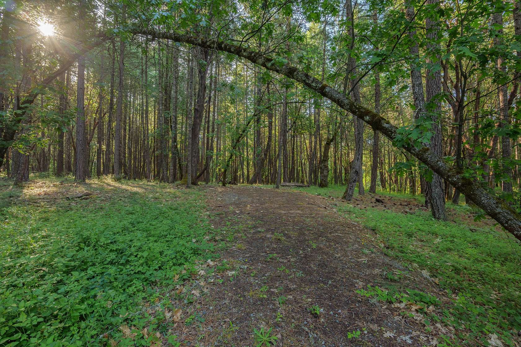 2.65 Acres of Residential Land for Sale in Wilderville, Oregon