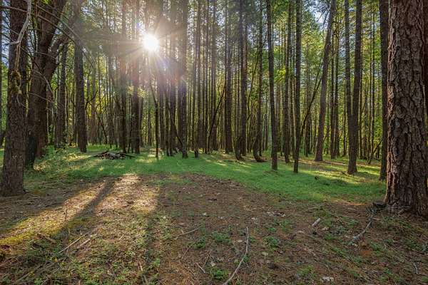2.65 Acres of Residential Land for Sale in Wilderville, Oregon