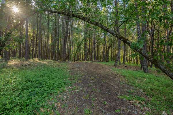 2.65 Acres of Residential Land for Sale in Wilderville, Oregon