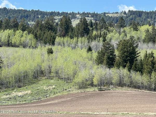 1 Acre of Residential Land for Sale in Tetonia, Idaho