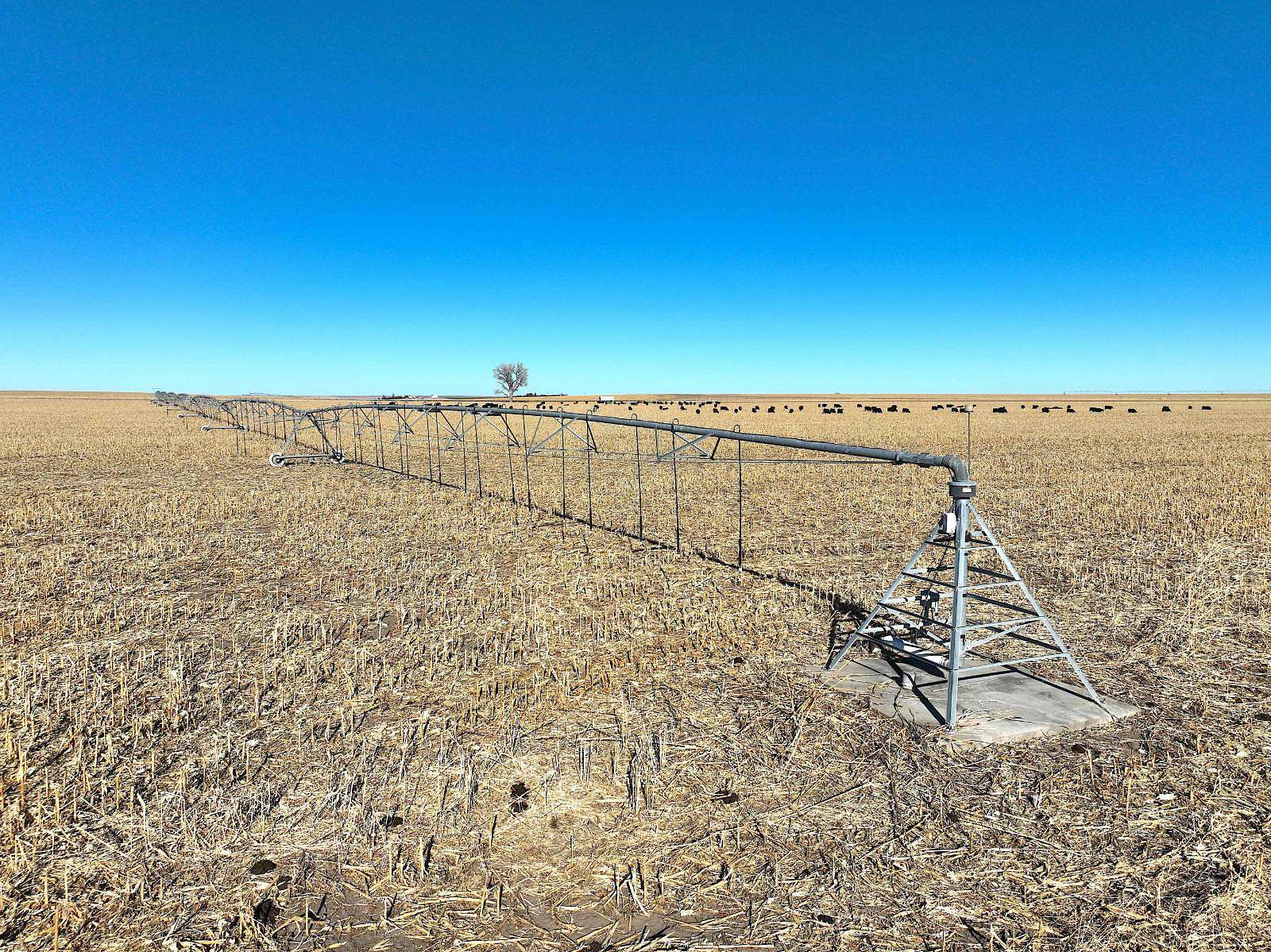 460 Acres of Agricultural Land for Sale in Quinter, Kansas