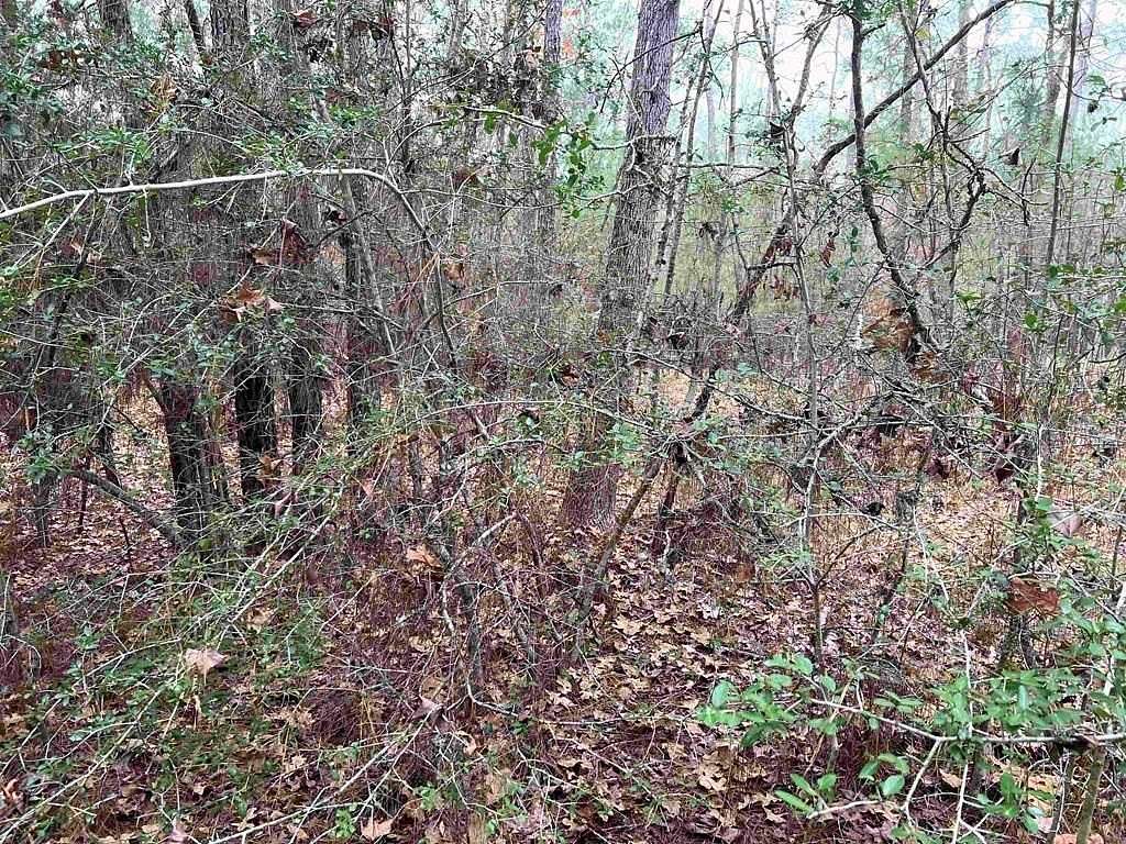 0.24 Acres of Residential Land for Sale in Brookeland, Texas