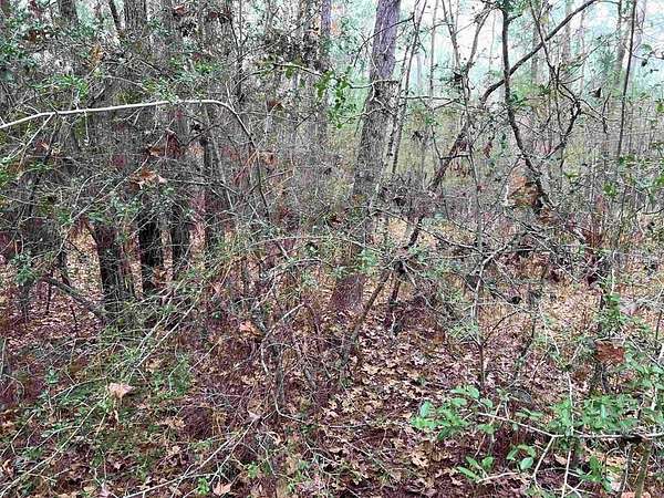 0.24 Acres of Residential Land for Sale in Brookeland, Texas