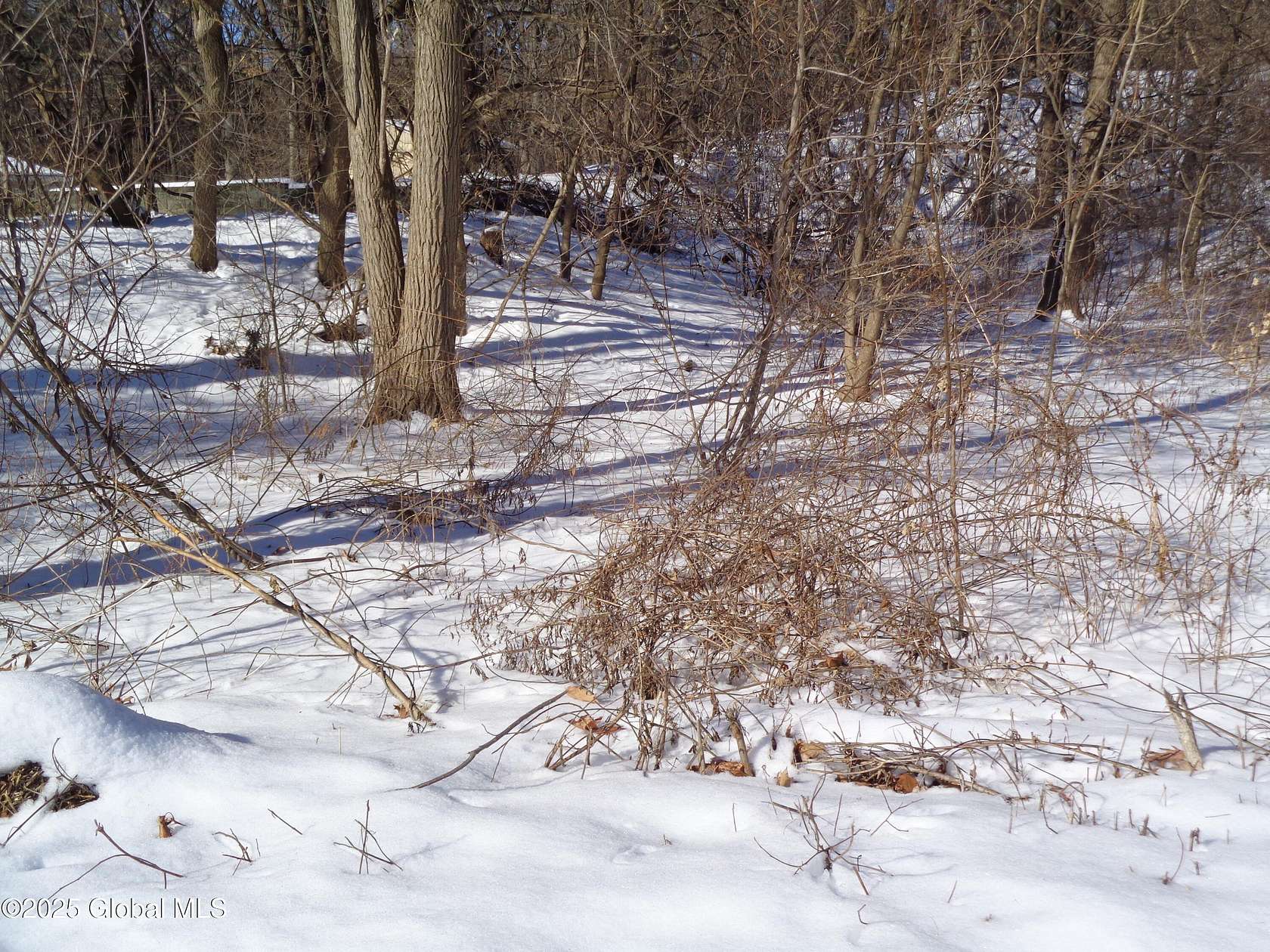 0.19 Acres of Land for Sale in Schenectady, New York