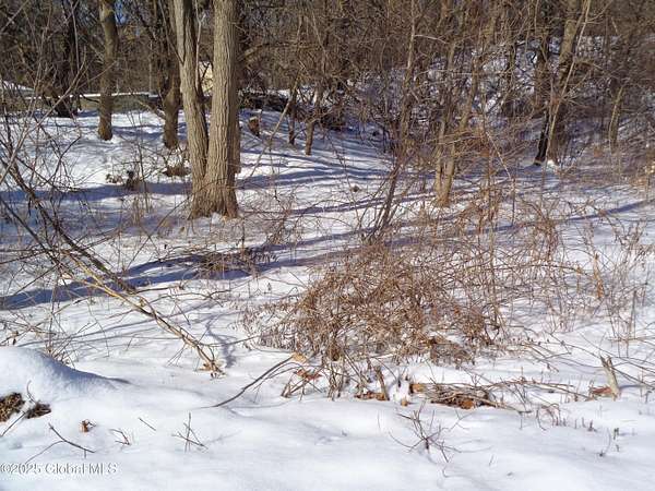 0.19 Acres of Land for Sale in Schenectady, New York