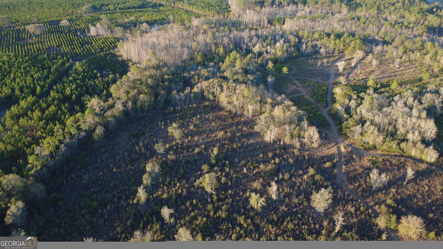 20 Acres of Recreational Land for Sale in Mershon, Georgia