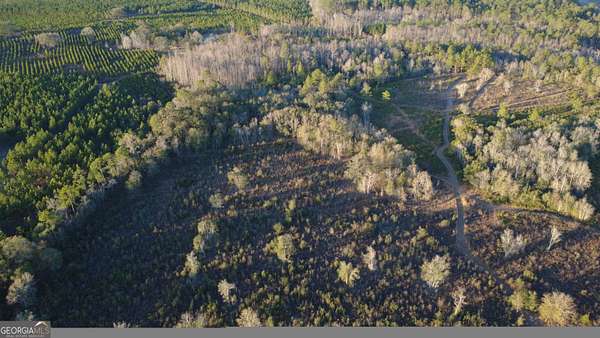 20 Acres of Recreational Land for Sale in Mershon, Georgia