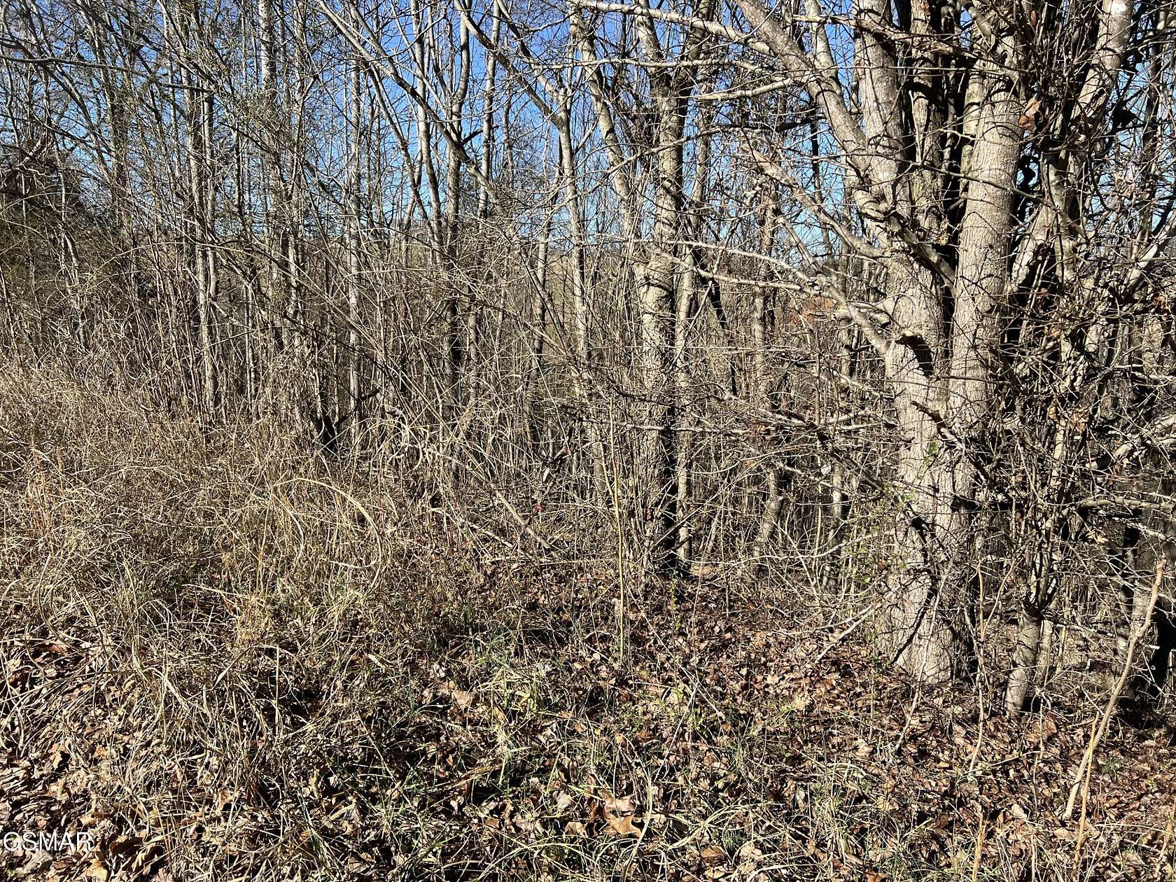 0.92 Acres of Residential Land for Sale in New Market, Tennessee