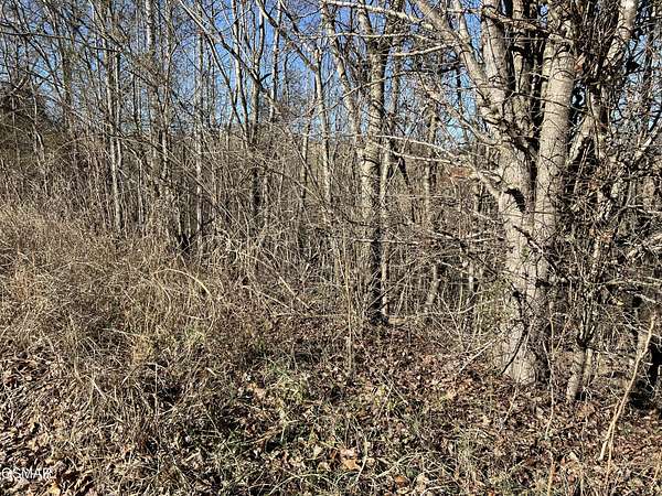 0.92 Acres of Residential Land for Sale in New Market, Tennessee