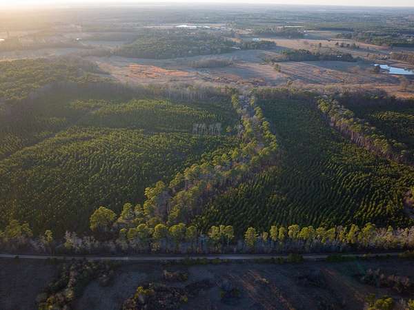 35 Acres of Recreational Land for Sale in Annona, Texas