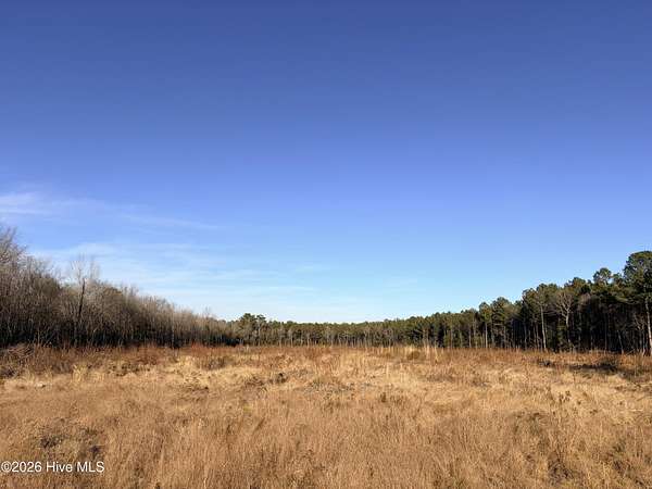 12.5 Acres of Land for Sale in Nashville, North Carolina