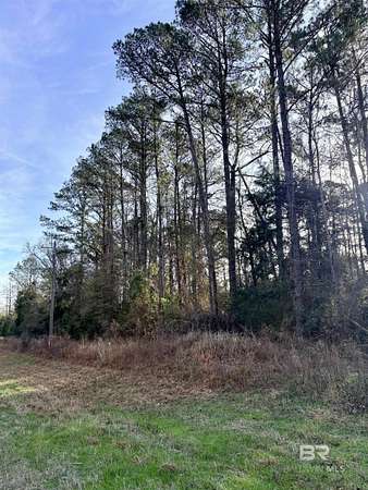 3.6 Acres of Residential Land for Sale in Repton, Alabama