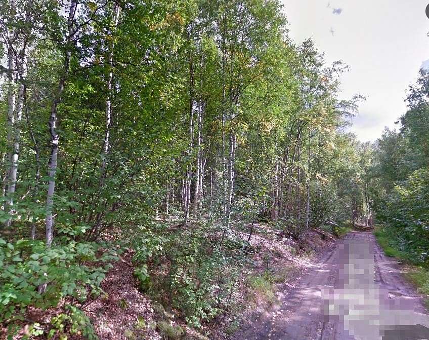 15 Acres of Land for Sale in Fairbanks, Alaska