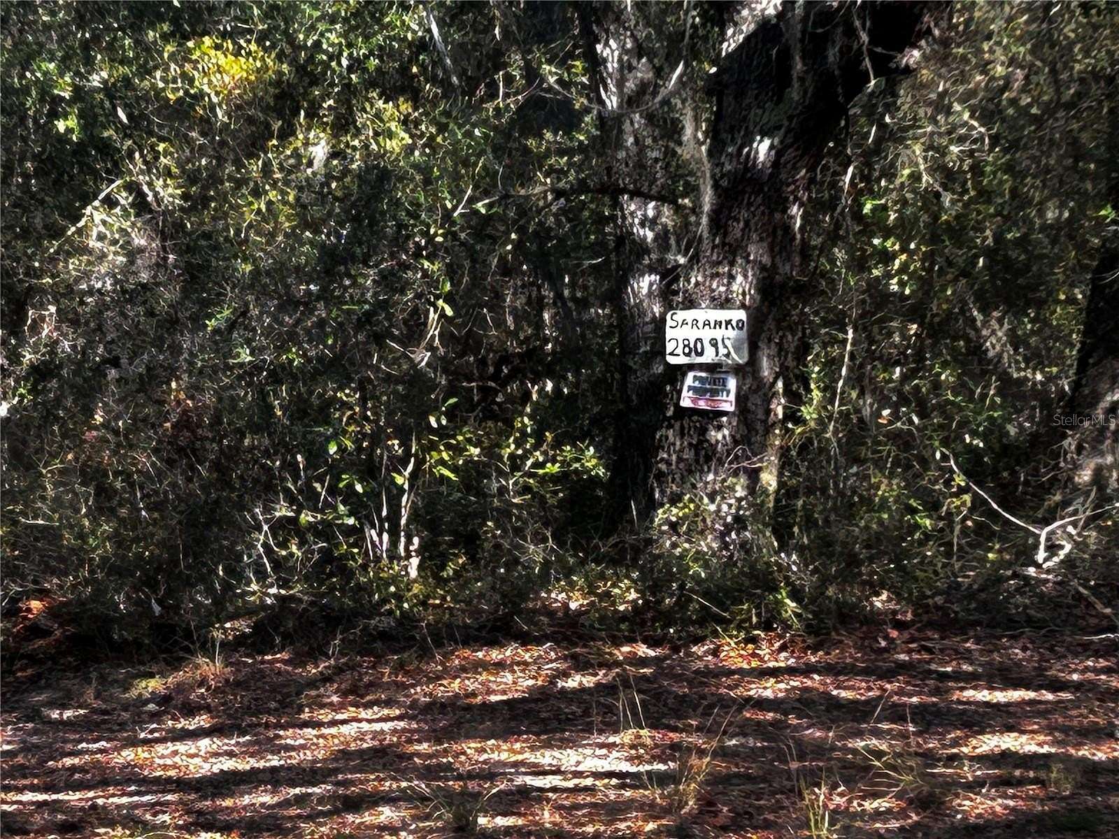 7.5 Acres of Residential Land for Sale in Umatilla, Florida