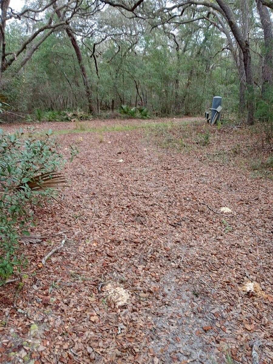 7.5 Acres of Residential Land for Sale in Umatilla, Florida
