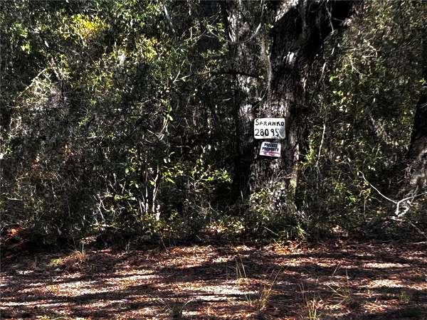 7.5 Acres of Residential Land for Sale in Umatilla, Florida