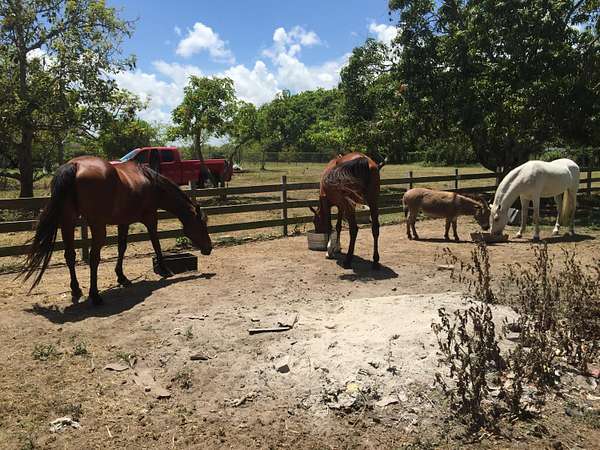 2.57 Acres of Residential Land for Sale in Miami, Florida