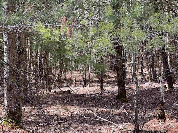 6.5 Acres of Residential Land for Sale in Brasher Falls, New York