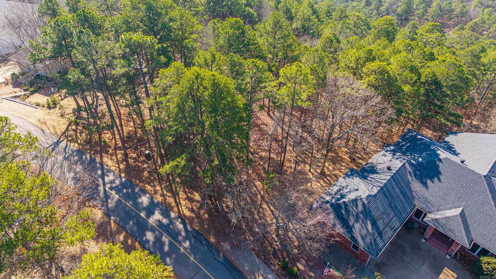0.29 Acres of Residential Land for Sale in Hot Springs Village, Arkansas