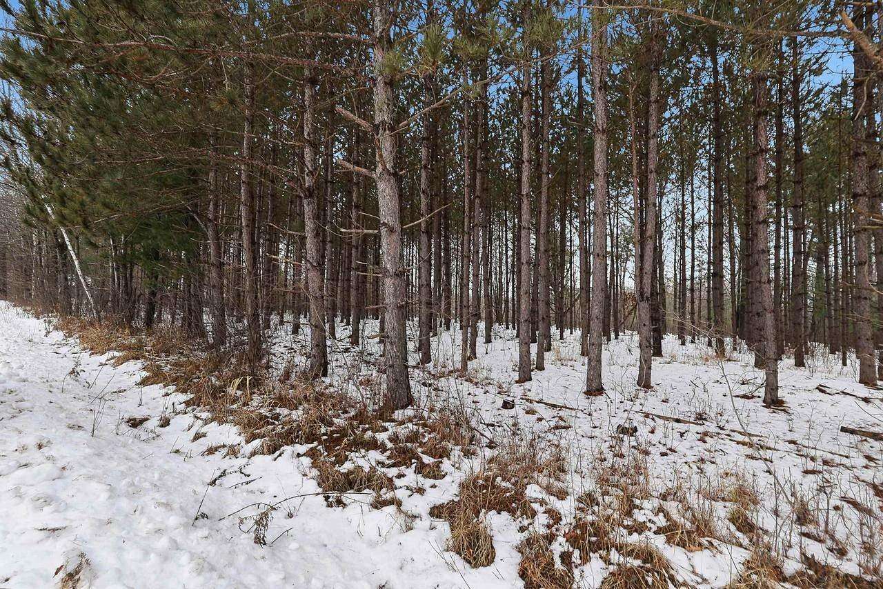 10 Acres of Recreational Land for Sale in Stevens Point, Wisconsin