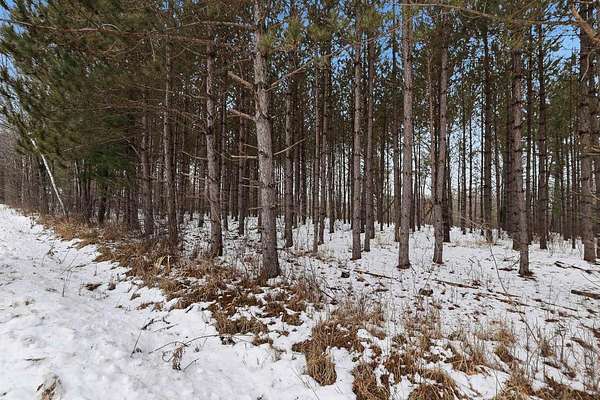 10 Acres of Recreational Land for Sale in Stevens Point, Wisconsin