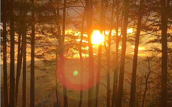 10.8 Acres of Land for Sale in Blue Ridge, Georgia