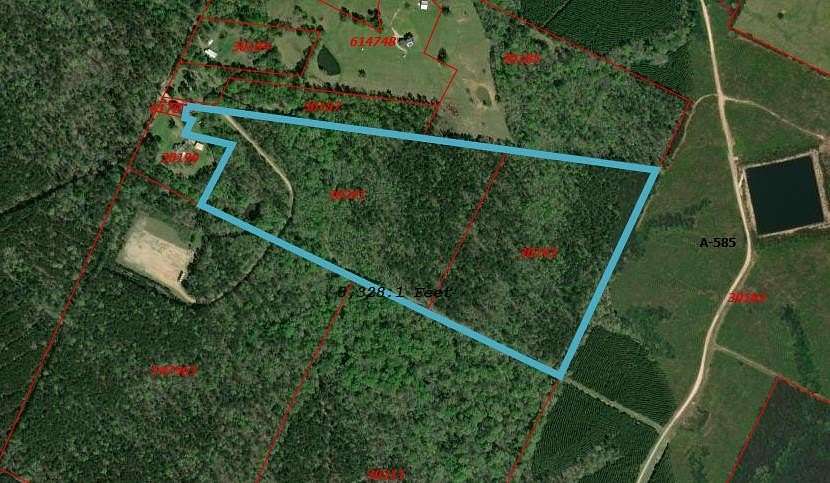 68.2 Acres of Recreational & Residential Land for Sale in Shelbyville, Texas