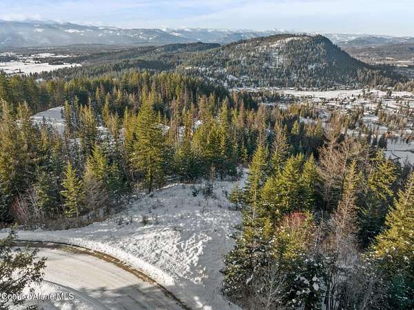 1 Acre of Residential Land for Sale in Sandpoint, Idaho