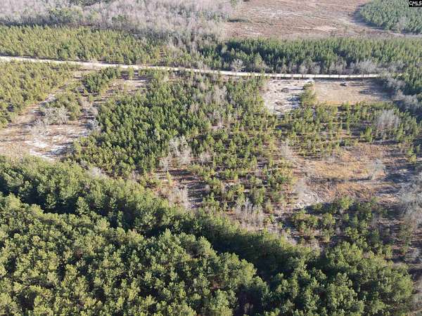 5 Acres of Residential Land for Sale in Bethune, South Carolina