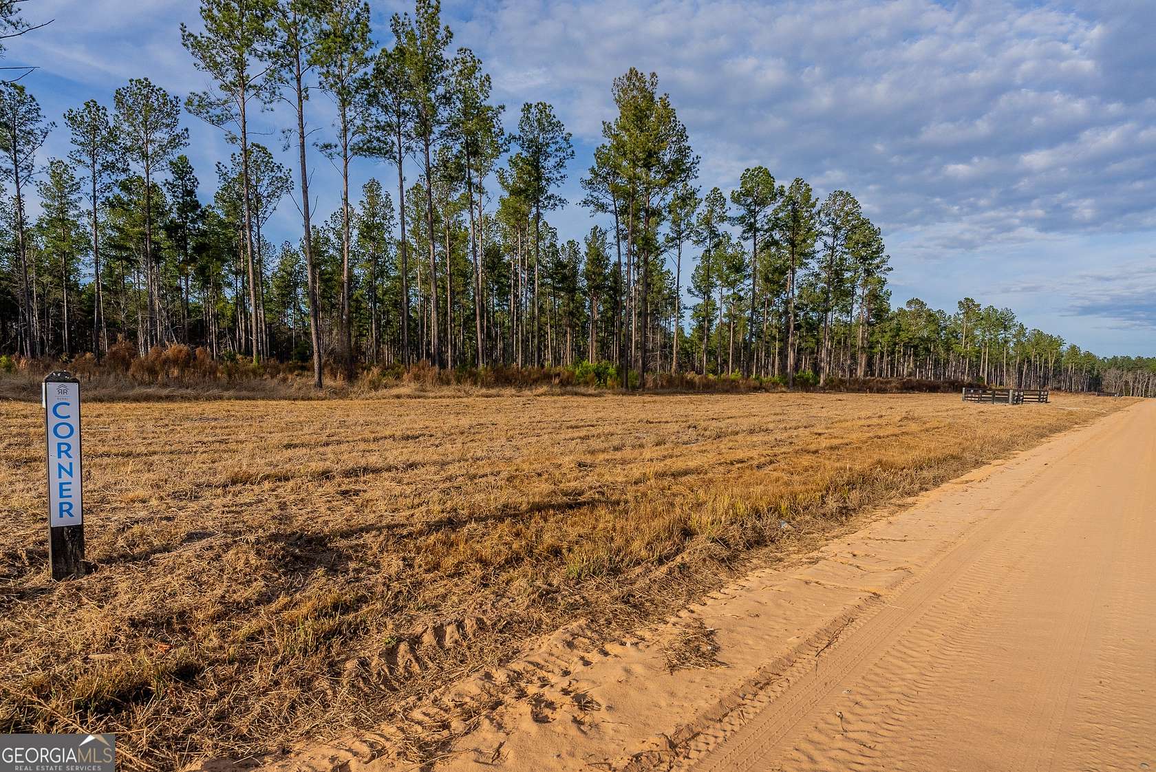 8.76 Acres of Agricultural Land for Sale in Brooklet, Georgia