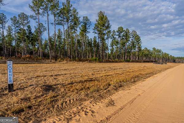 8.76 Acres of Agricultural Land for Sale in Brooklet, Georgia