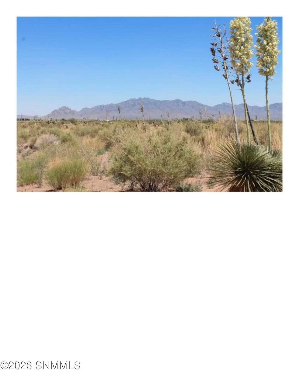 20 Acres of Land for Sale in Deming, New Mexico