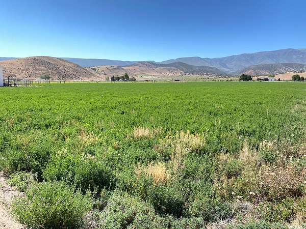 6 Acres of Residential Land for Sale in Glenwood, Utah