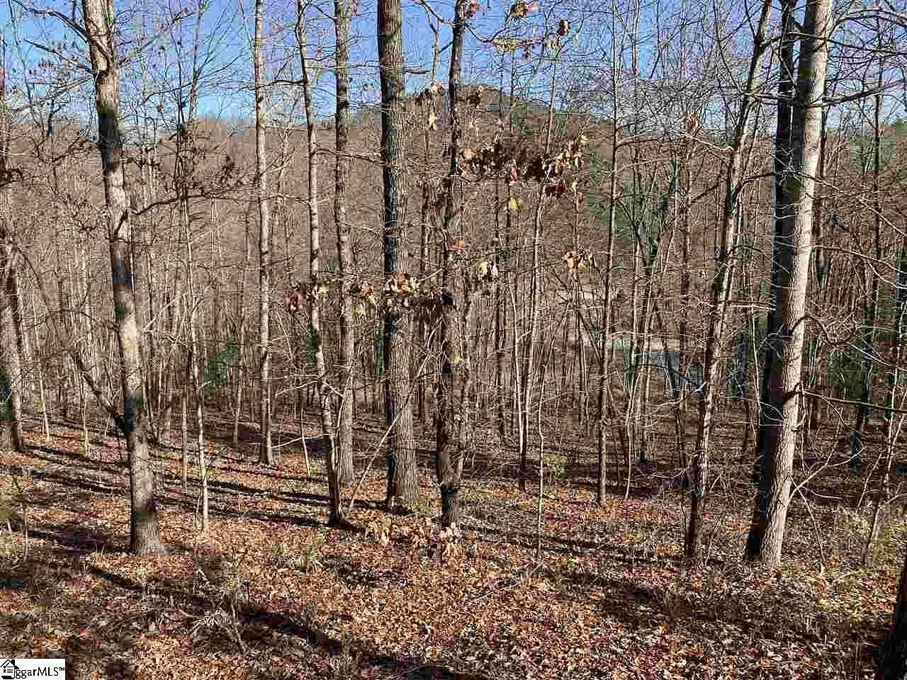 0.77 Acres of Residential Land for Sale in Marietta, South Carolina