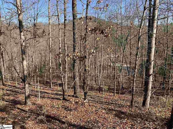 0.77 Acres of Residential Land for Sale in Marietta, South Carolina