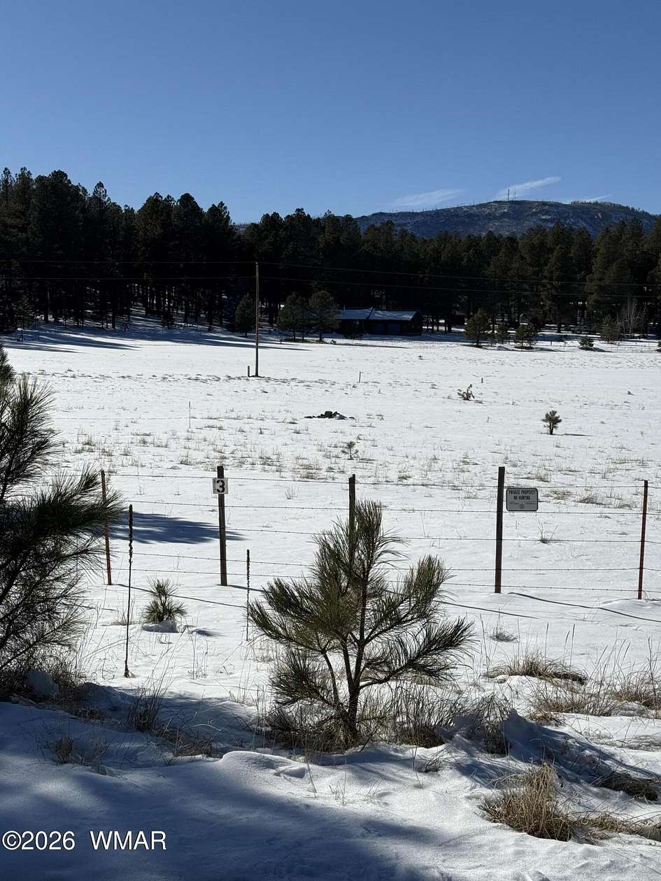 1 Acre of Residential Land for Sale in Alpine, Arizona