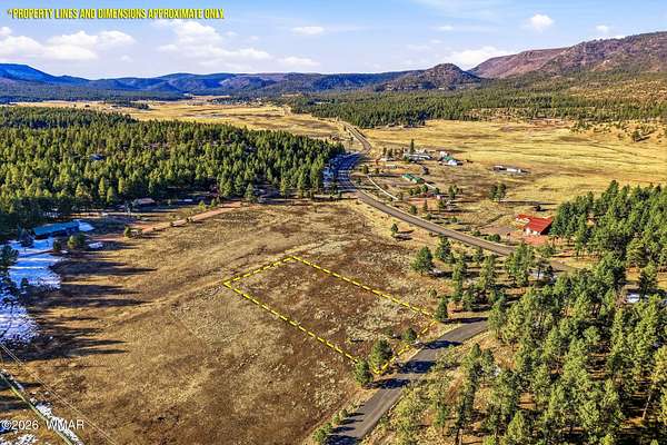 1 Acre of Residential Land for Sale in Alpine, Arizona