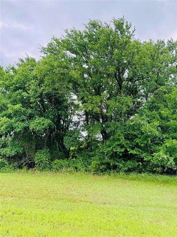 0.52 Acres of Residential Land for Sale in Whitney, Texas