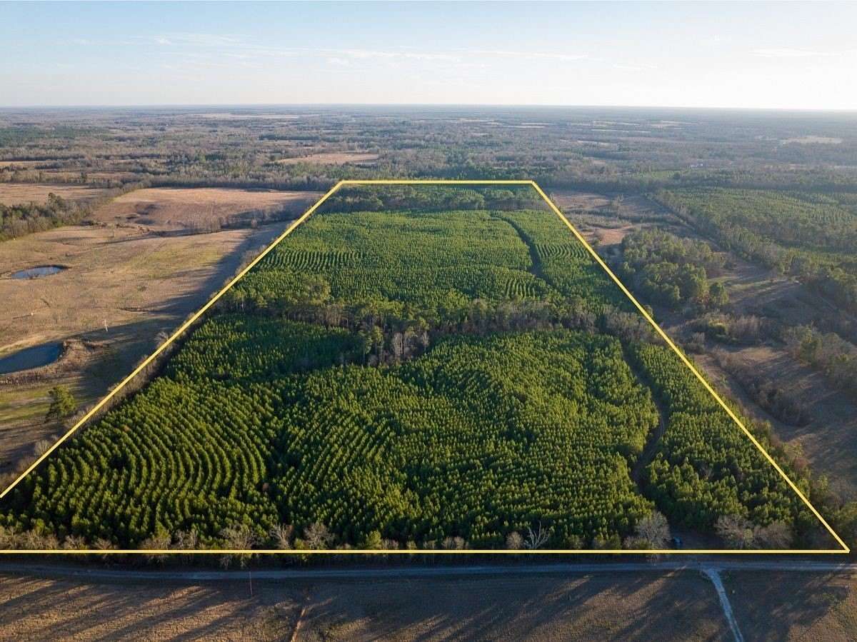 86.8 Acres of Recreational & Residential Land for Sale in Annona, Texas