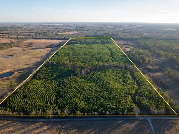 86.8 Acres of Recreational & Residential Land for Sale in Annona, Texas