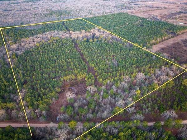 48.8 Acres of Recreational Land for Sale in De Kalb, Texas